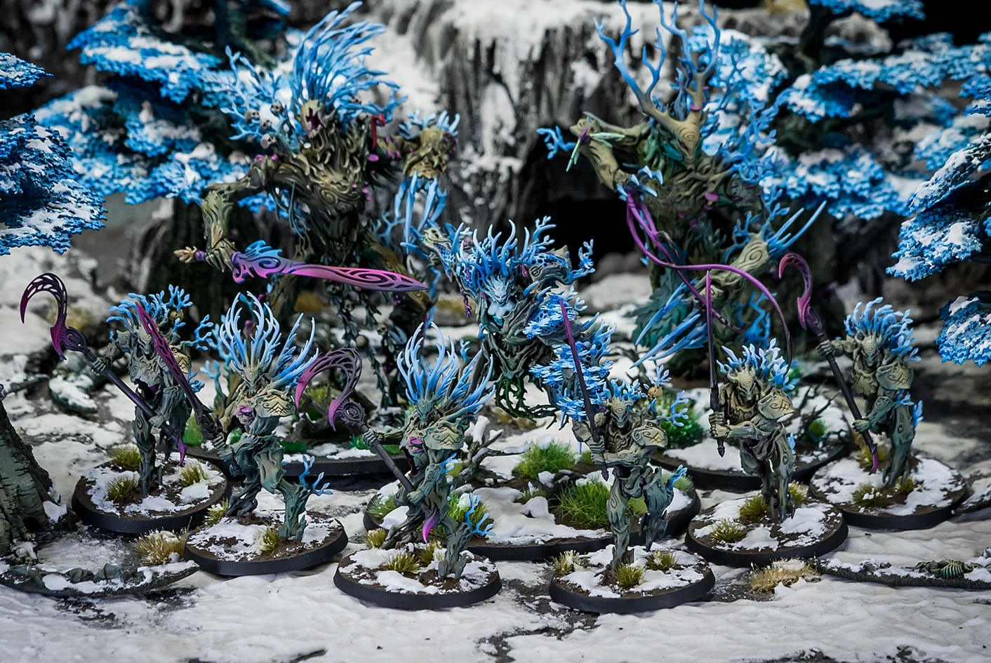 Ejército Sylvaneth helado - Foto general del proyecto